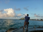 Fighting a snook at Jupiter Inlet Jetty 2