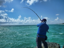 Fighting a snook at Jupiter Inlet Jetty