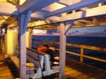 Reading at Anglins Pier