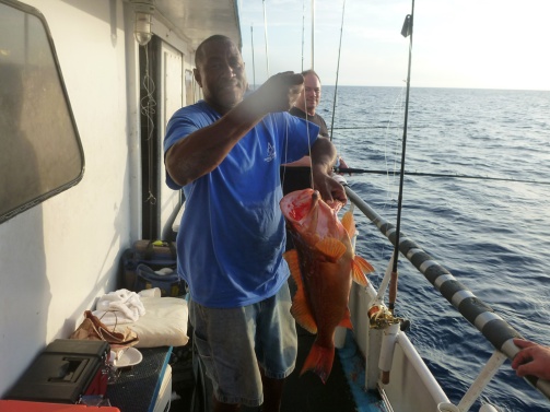 Another red grouper