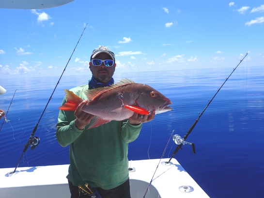 mutton snapper on slow pitch jig