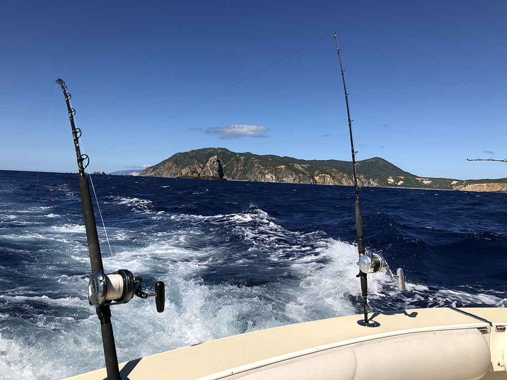 Cudaman Adventures , fishing report, fishing photos